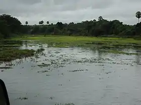 Governador Dix-Sept Rosado