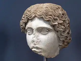 Tête d'Amazone du type Mattei, copie romaine, de la villa Hadriana,