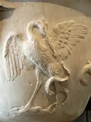 Détail du même cratère