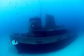 illustration de MV Rozi