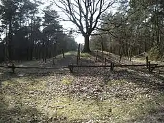 Tumulus mis en évidence au hameau de Vessemsedijk.