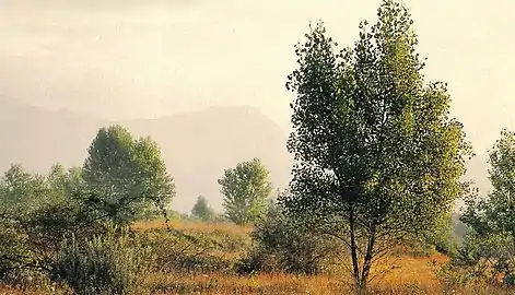 Paysage des Magredi (it) en Frioul-Vénétie julienne en 2004.