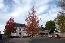 La mairie et ses érables rouges.