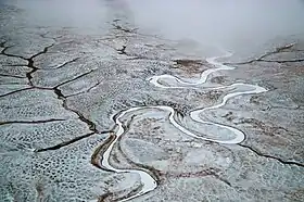 Le fleuve Malakatine traverse la grande île Liakhov.