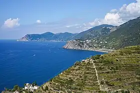 Image illustrative de l’article Cinque Terre