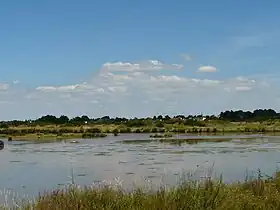 Image illustrative de l’article Marais de Lasné