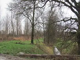 Partie asséchée du marais des Échets.