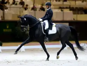 Image illustrative de l’article Marc Boblet