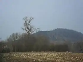 Image illustrative de l’article Tumulus de Marcinelle