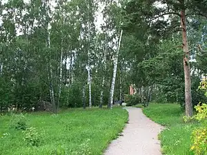 Sentier et arbres du parc.