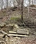 Dans une forêt, trou recouvert de planches et de feuilles.