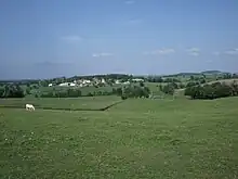 Photo en couleur d'une vaste prairie verdoyante sous un ciel bleu avec au fond des bosquets et un village
