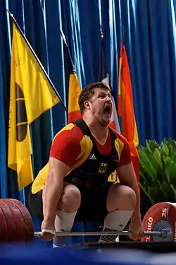 Image illustrative de l’article Matthias Steiner