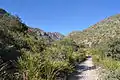 McKittrick Canyon Trail