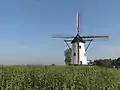 Moulin : de Witte Molen