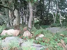 Les menhirs couchés.