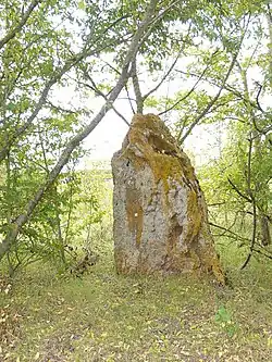 Menhir de Vaintray