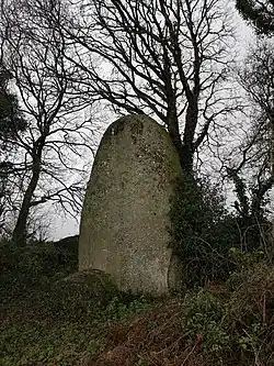 Image illustrative de l’article Menhir de Cosquer Jehan