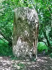 L'un des trois menhirs de Kergloglé (dit Kergloglé A) en Plovan.