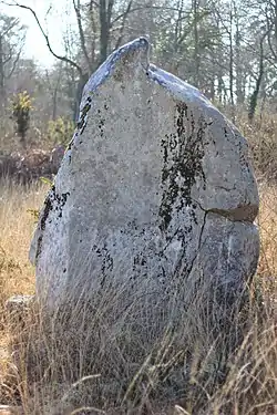 Image illustrative de l’article Menhir de Kergo
