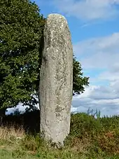 Menhir de Kergornec n°1