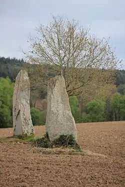 Les deux menhirs de Kernars.