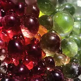 Détail des vésicules