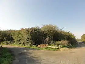 La partie nord du carreau de la fosse no&nbsp;2 - 7, près du puits no&nbsp;7, en 2011.