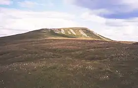 Vue du versant occidental de Mickle Fell.