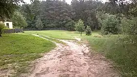 Mikołajów (Piotrków)