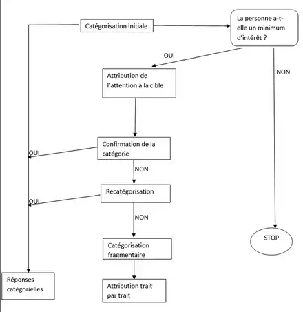 Schéma modèle Fiske Neuberg
