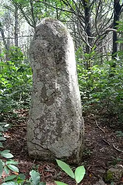 Image illustrative de l’article Menhir de Kergoulouët