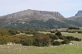 Le versant sud-ouest du mont Chiran