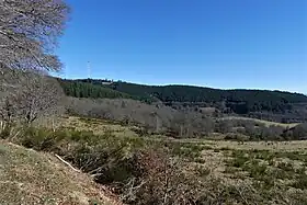 Le mont Bessou (à gauche) depuis la route des Hêtres (environ 2 km à l'ouest).