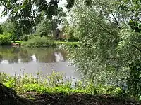 Un coin de l'étang rue de Verdun.