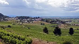 Montbrun-des-Corbières