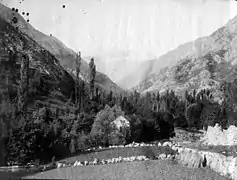 Le pic du Montcalm vu de la forge d'Auzat (cliché Eugène Trutat, 17 juillet 1882, bibliothèque de Toulouse).