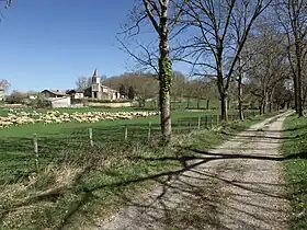 Montesquieu-Avantès