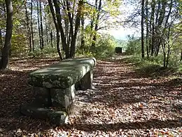 Lieu-dit Table-du-Roi de Montigny-sur-Loing.