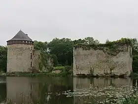 Image illustrative de l’article Château de Montjean