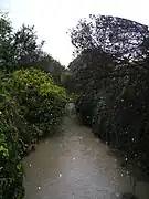 Le Verdanson vu en aval de la rue Croix-Catelan.