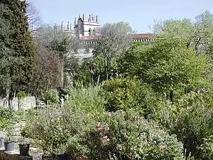 Le jardin des plantes de Montpellier.