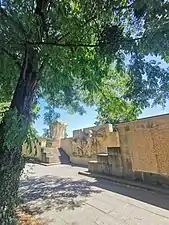 L'île aux cygnes à l'été 2022.