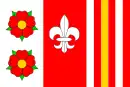 Drapeau de Morašice