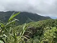 Les hauteurs du parc.