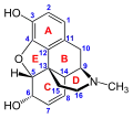 La structure 2D de la morphine, numérotée et lettrée.