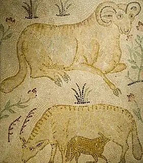 Image illustrative de l’article Rusguniae