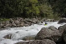 Mother's Nightmare (en regardant vers le haut).