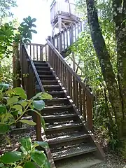 Escalier d'accès à une tour d'observation.
