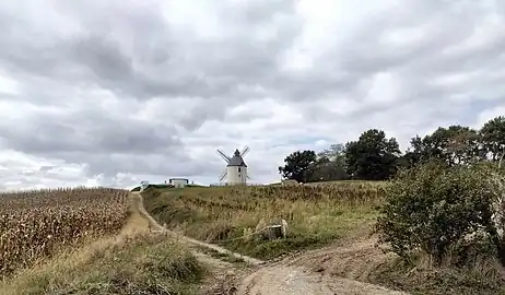 Vue générale du moulin sur la colline (tuc)